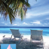 Florida West Coast Beaches | Complete Gulf Coast Travel Guide