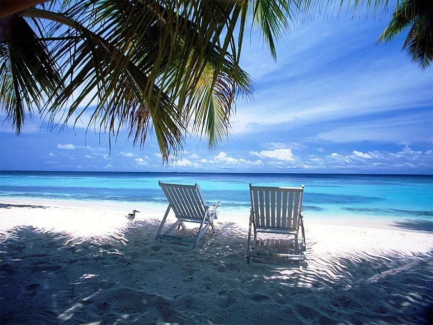 e-to-make-our-pc-looks-more-peaceful-beach-scenes