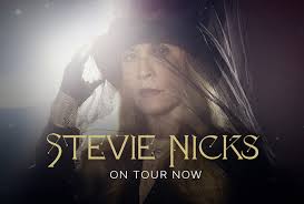 Stevie Nicks Concert Tour 2025